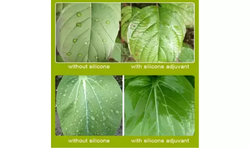 Structure, Properties and Applications of 1,1,1,3,5,5,5-Heptamethyltrisiloxane（HC-YM9360）
